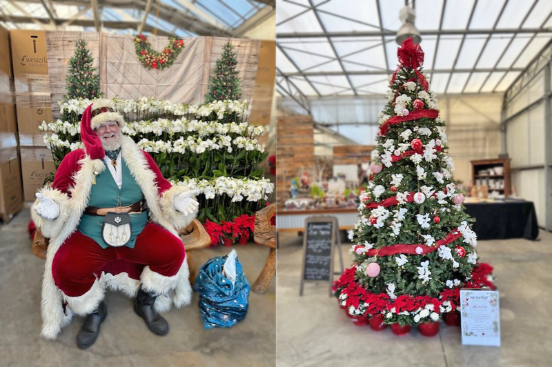 Westerlay Orchids Holiday Open House 2023